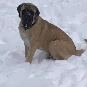 Meet your Posher, Mandie